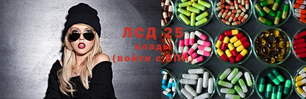 ПСИЛОЦИБИНОВЫЕ ГРИБЫ Баксан