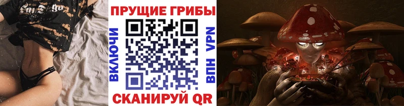 где найти наркотики  Городище  МЕГА ССЫЛКА  Псилоцибиновые грибы Cubensis 